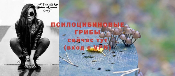 стаф Новозыбков