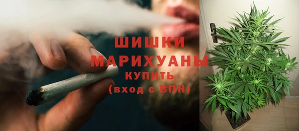 эйфоретик Билибино