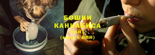 мет Няндома