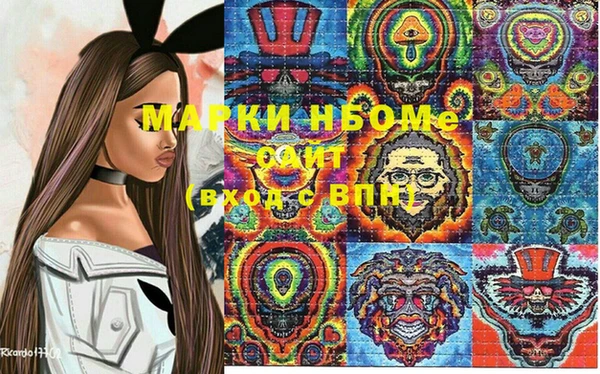 стаф Новозыбков