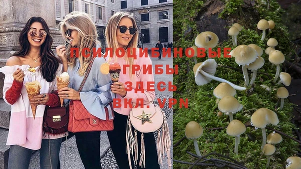 стаф Новозыбков