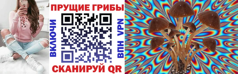 MEGA онион  Игарка  Галлюциногенные грибы мицелий  сколько стоит 